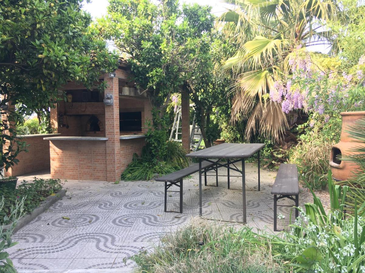 Casa Das Flores Leiria Silvercoast Portugal Monte Redondo Exterior photo